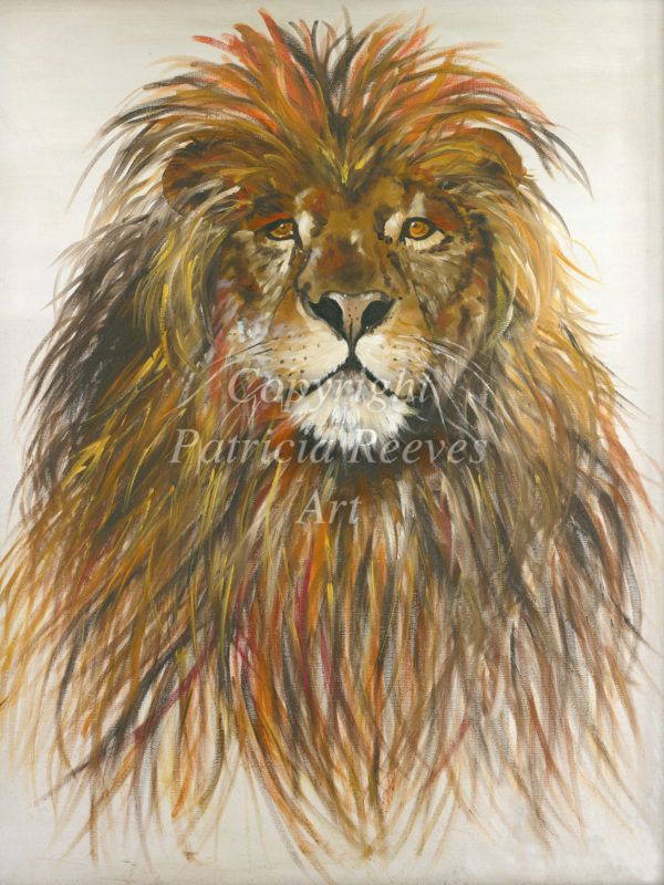 Lion of Judah - Signed Print